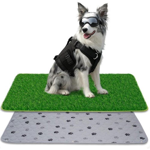 Hundetoilette kunstgras - hundetoilette,