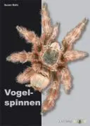 Vogelspinnen søren rafn - |, |