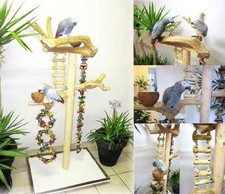 Freisitz, Papageienspielzeug