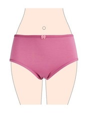 Damen Slip Panty Höschen