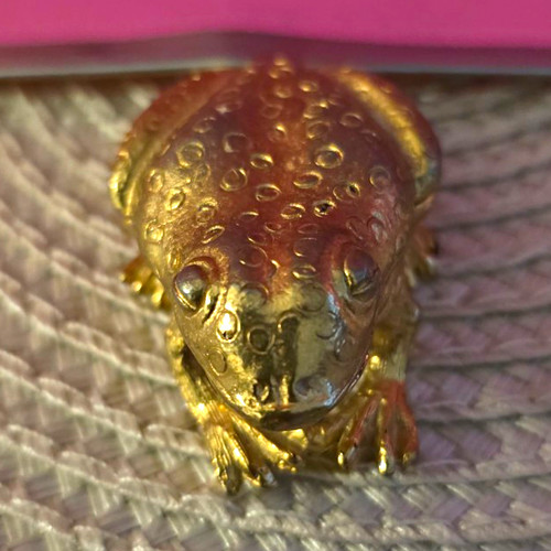 Vintage florenza frosch - florenza,