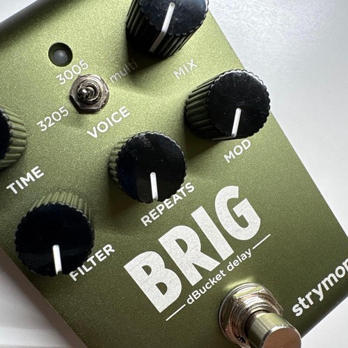 Strymon brig dbucket delay - brig,