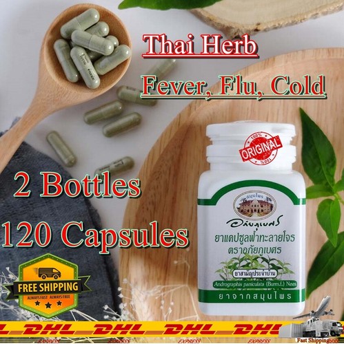 Thai herb andrographis - thai,