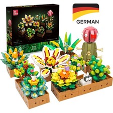 JJ9037 |913pcs Sukkulenten