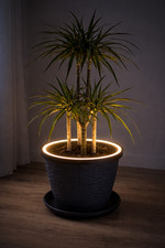 LED Pflanzen Lichtring