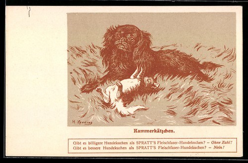 Ansichtskarte pekinese und - ansichtskarte,
