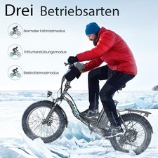 Klapprad 20 Zoll E Bike Bis