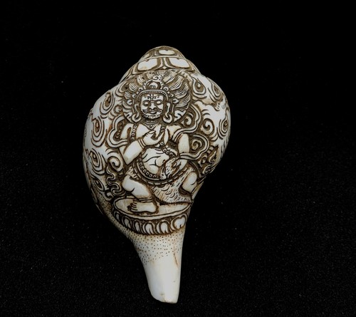Zambala ritual muschel shell - ritual,