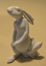 Jahreshase Fürstenberg