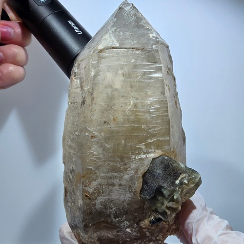 Große skelett rauchquarz - große,