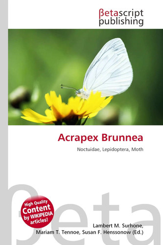 Acrapex brunnea noctuidae - brunnea,