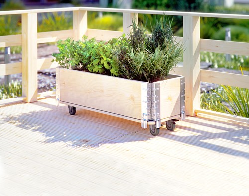 Holz kräuterbox kräuterbeet - holz,
