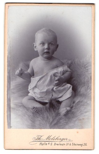 Fotografie molsberger - fotografie, th.