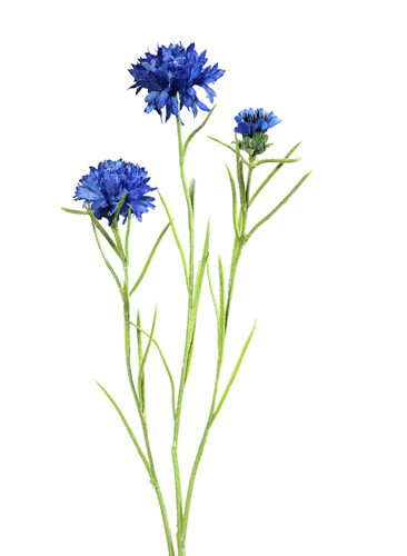Künstlicher kornblumen zweig - künstlicher,