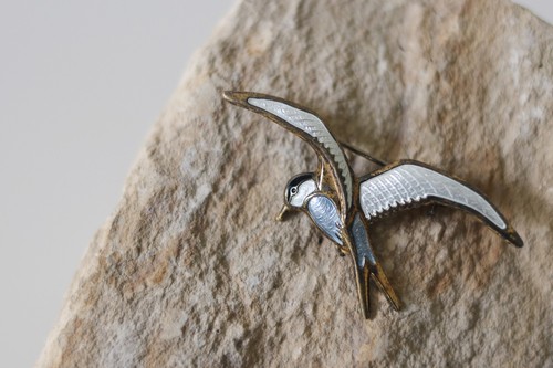 David andersen bird - david,