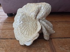 Deko Füllhorn perlmuttfarben