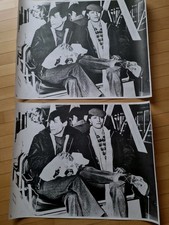 DAVID BOWIE & IGGY POP - IN