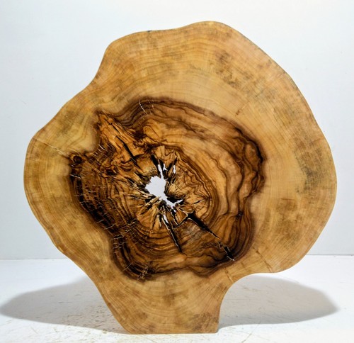 Groß,Baumscheibe,Holzscheibe
