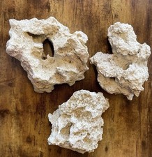 Lochsteine für das Aquarium ( Lochgesteine )