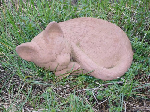 Katze liegend mittel tier - liegend,