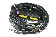 Landi Renzo Omegas 3/4