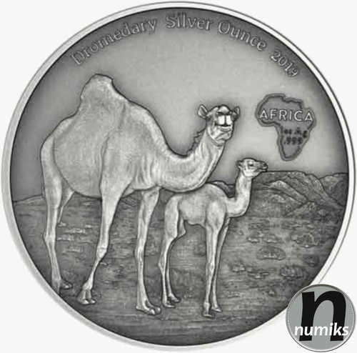 Dromedar afrika serie - dromedar,