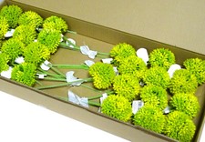 12-24 Stk Allium Kunstblumen