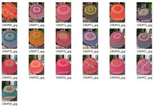 Diverse neue Lunghi Sarong