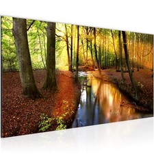 Wandbild Wald Landschaft Bild