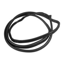 Türdichtung hinten links für