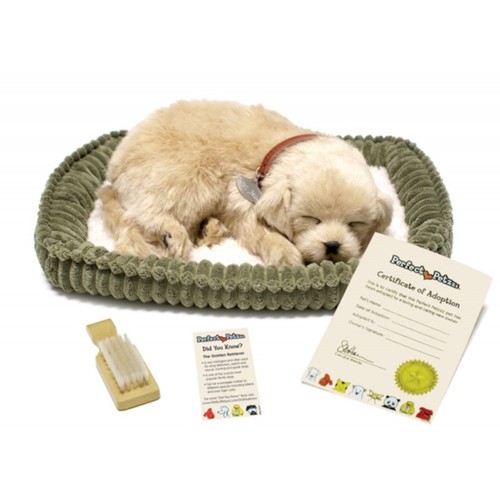 Perfect petzzz 96118 - petzzz, golden
