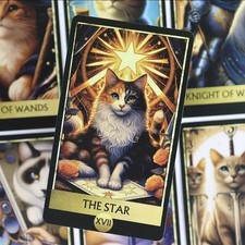 Cat Tarot | 78 Orakelkarten |