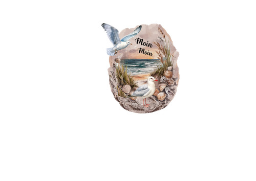 Möwe mit strand - strand, auto/