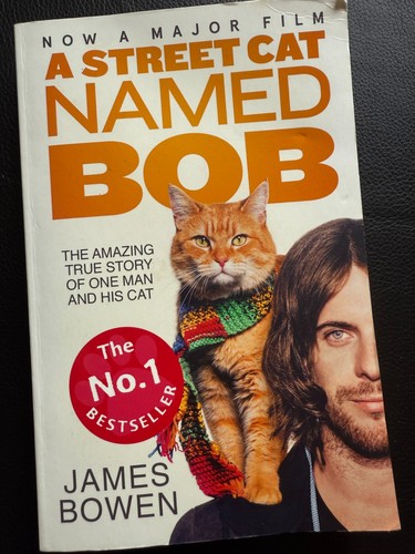 Street cat named bob how - cat, bob: