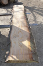 Douglasie,massiv,Bohle,Baumstamm,Drechselholz,Tischplatte,ca.240x31x6,9cm,3955