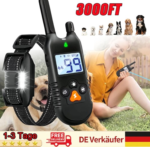 1000m hund ausbildung - 1000m,