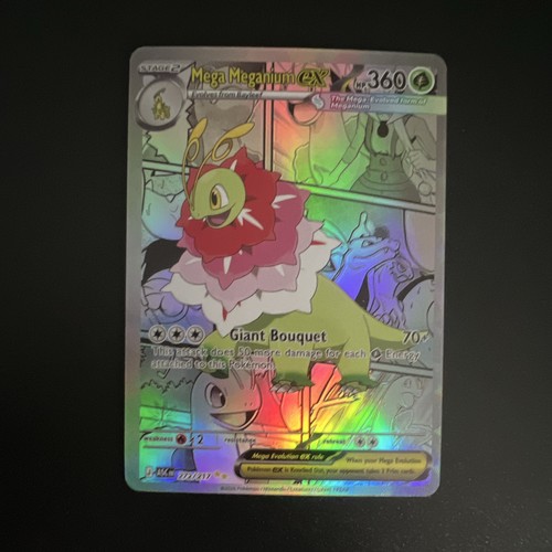 Pokémon ccg mega meganium - pokémon,