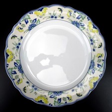 Hutschenreuther Porzellan Speiseteller Serie Maria Theresia Papillon ca. 25cm