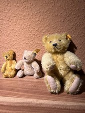 Drei Steiff Teddys Sammlung