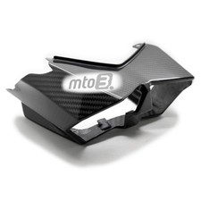 Carbon Heckverkleidung für