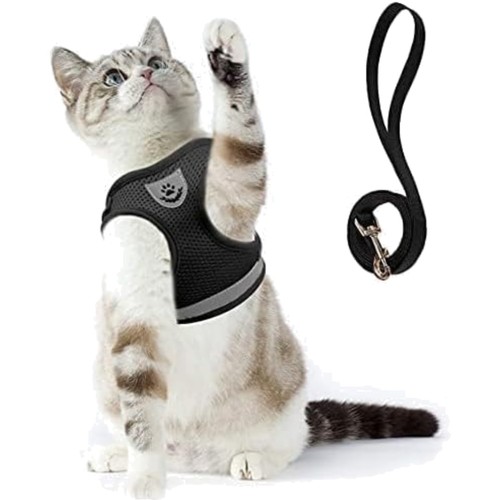Katzengeschirr hundegeschirr - katzengeschirr,
