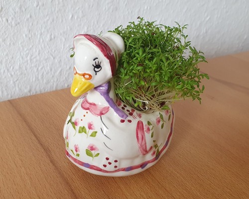 Mutter gans mother - mutter, goose