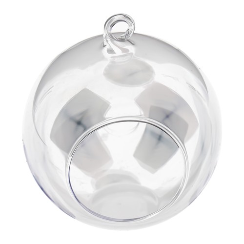 Glaskugel pflanze sukkulente - glaskugel,