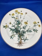BOTANICA  Speiseteller 26,5cm