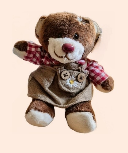 Teddybär tracht plüschteddy - tracht,