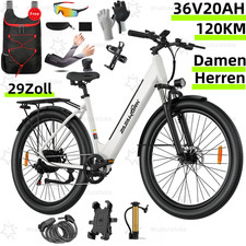 29 Zoll E-Bike Elektrofahrrad