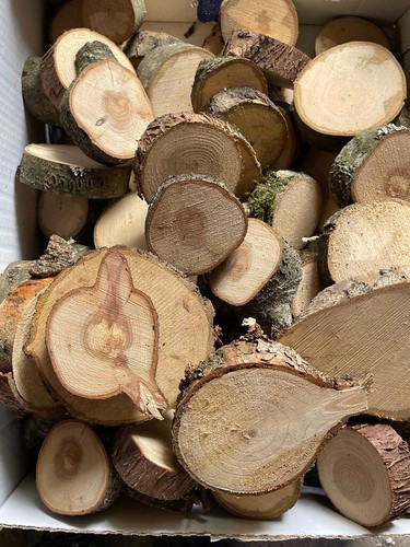 Holzscheiben 4kg baumscheiben - 4kg,