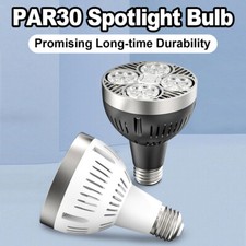 Par30 LED Leuchte 220V 24°