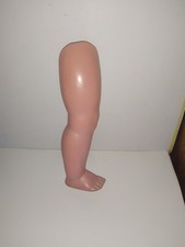 Schildkröt Tortulon