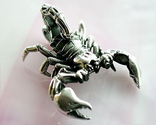 Skorpion anhänger silber - skorpion,